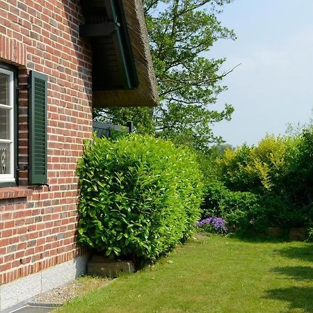 Wildrose Ferienhaus Boltenhagen  Εξωτερικό φωτογραφία