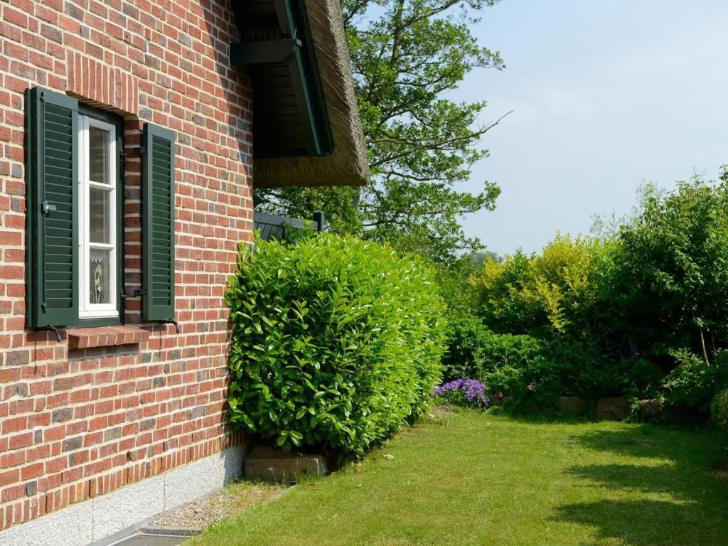 Wildrose Ferienhaus Boltenhagen  Εξωτερικό φωτογραφία