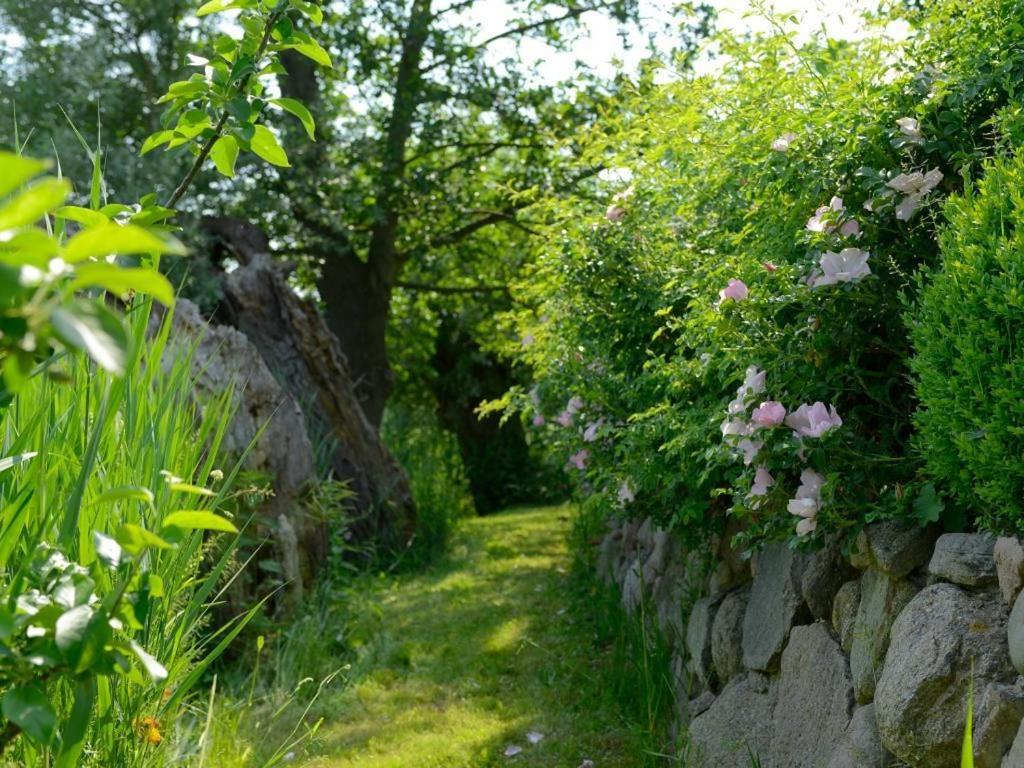 Wildrose Ferienhaus Boltenhagen  Εξωτερικό φωτογραφία
